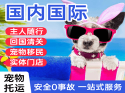 锦州湾机场货运国际宠物托运 【国